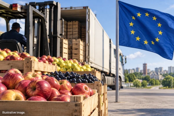 Moldova intenționează să-și dubleze exporturile de fructe și să-și consolideze poziția pe piața UE