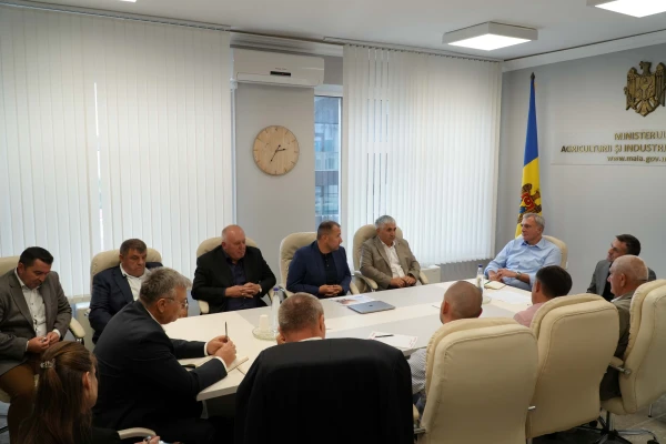 В Молдове планируют субсидировать развитие производства и переработки сахарной свеклы