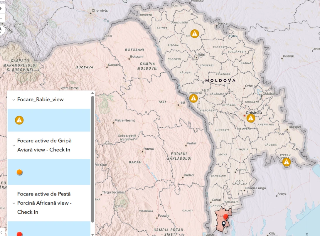 În Moldova au fost înregistrate noi cazuri de rabie și de pestă africană a animalelor