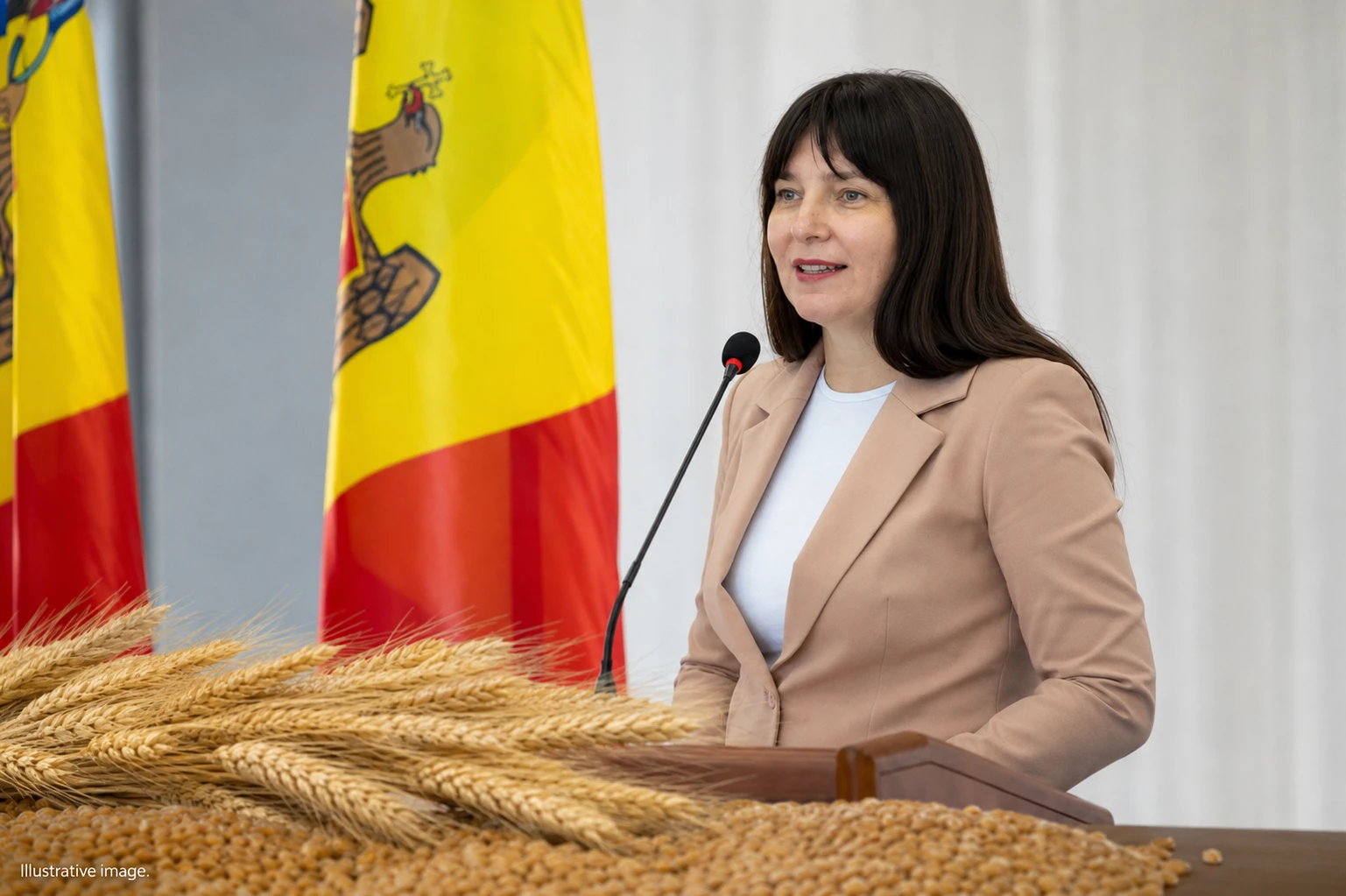 The Ministry of Finance attributed the VAT increase on grain to a reduction in the tax disparity
