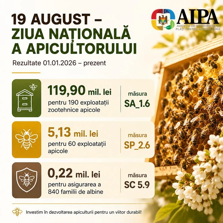 AIPA has allocated more than 125 million lei to support beekeeping in Moldova