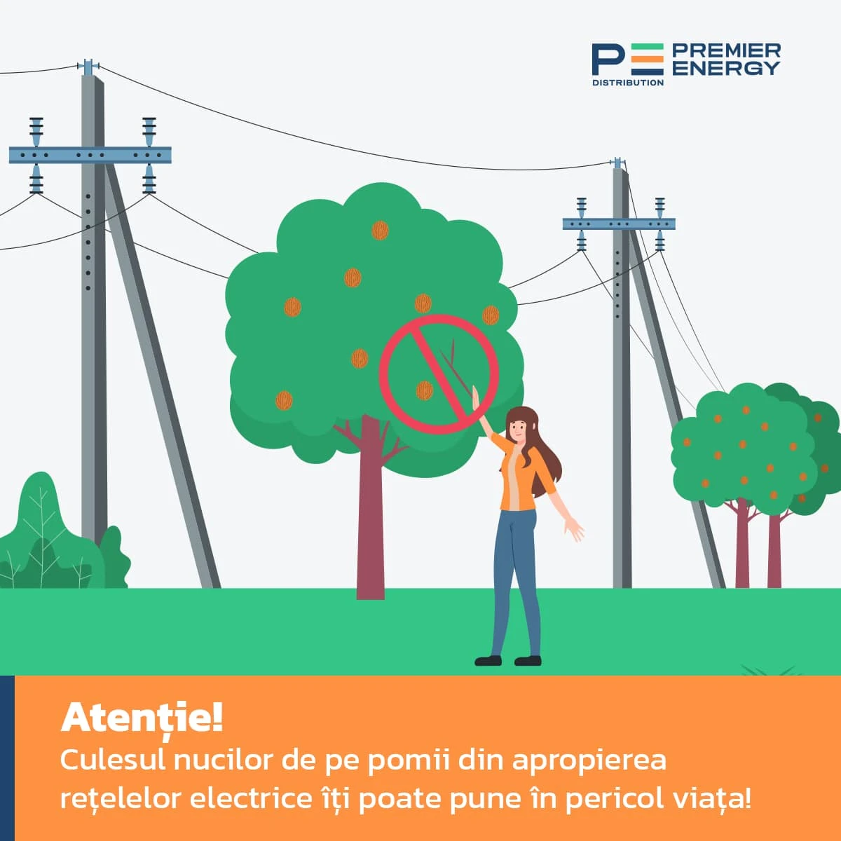 Regulile de securitate electrică la recoltarea nucilor revin în actualitate. Manifestaţi atenţie, protejați-vă viața și sănătatea!