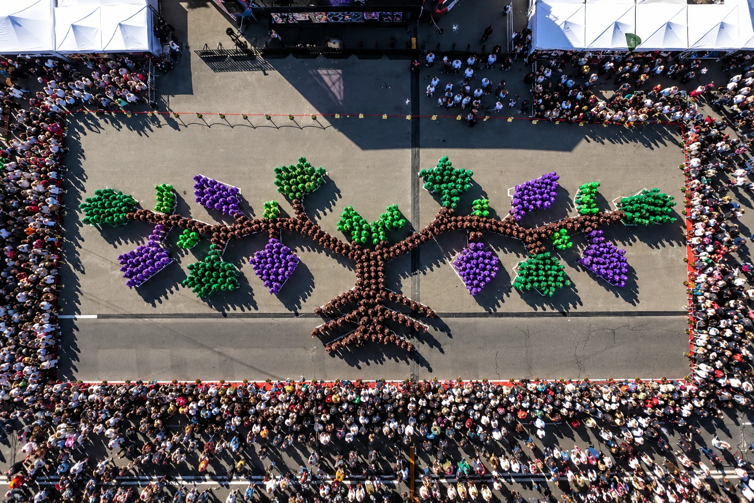 Moldova set a Guinness World Record by creating the largest living image of a grapevine