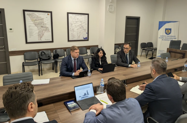 ANRE and the IMF Discussed Increases in Electricity and Gas Rates