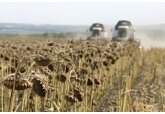 На Западе рассказали о глобальной катастрофе