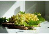 Употребление винограда улучшило зрение у пожилых людей