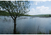 In Moldova, lake owners were required to have an environmental permit for the use of waters for fishing and pay for land under water.