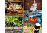 USAID has launched a new $50 million project in Moldova in 2022 to improve rural competitiveness and sustainability. 