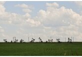 Чехия назвала срок отказа от российской нефти
