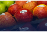 Moldova has gained free access to the world&#039;s largest Indian apple market