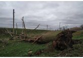 Vântul puternic a produs deranjamente în rețelele electrice. Au loc lucrări de restabilire a furnizării energiei electrice către consumatorii afectați de deconectările avariate. 