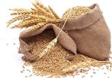 Micii fermieri produc o treime din alimentele lumii