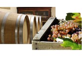 Legislația națională în domeniul produselor vitivinicole va fi armonizată cu standardele europene
