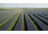 A început construcția celui mai mare parc fotovoltaic din România
