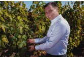 Record înregistrat de Combinatul de Vinuri „Cricova” în 2023 - a avut cel mai mare profit din toată istoria sa! 