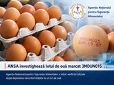 В Молдове изъяли из продажи партию куриных яиц из-за риска заражения сальмонеллой