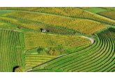 Ministerul Agriculturii Moldovei a făcut apel la cetățeni să gestioneze rațional și eficient resursele funciare și să adere la principiile agriculturii durabile.
