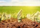 În Moldova a fost facilitată procedura de obținere a ajutorului pentru agricultorii care au avut de suferit în urma secetei de anul trecut.