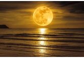 Ce este „Luna Castorului” și de ce are acest nume