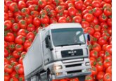 The first Moldovan tomatoes totaling 22.3 tons entered the EU market in 2024 - Dumitru Alaiba