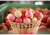 Moldova sent the first batch of 20 tons of apples to Mumbai on March 19 after receiving free access for these fruits to the Indian market.