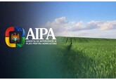 AIPA с 4 по 8 мая утвердило субсидии аграриям на 63,46 млн леев, в том числе, одобрило первые платежи из Плана роста Молдовы на 32,4 млн леев