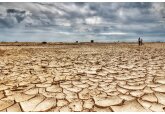 Unele ferme americane sunt atât de afectate de secetă, încât solul respinge îngrăşămintele
