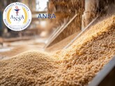 Forage crop seed material produced in Moldova can be exported to EU countries – the National Agency for Food Safety