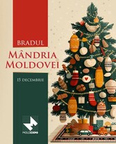 „Bradul – Mândria Moldovei”