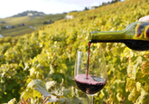 Sectorul vinicol al Moldovei la fel reprezintă 3% din PIB-ul țării, în pofida scăderii producției de vin cu 28% în 2021.