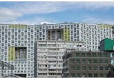 Названы простые способы создать комфортный микроклимат в квартире