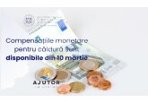 În luna februarie, 718.000 de familii vor primi compensații bănești pentru resursele energetice, Guvernul alocând în acest scop 577 milioane de lei