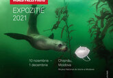 Expoziţia World Press Photo, 2021: De cinci ani, Moldova este gazda celei mai prestigioase expoziții internaționale de artă vizuală