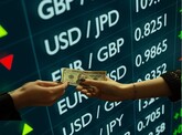 În ianuarie-aprilie 2025, gradul de acoperire a cererii nete a companiilor pentru valută străină cu oferta netă din partea persoanelor fizice a fost de 86,9%, față de 90,9% în aceeași perioadă a anului precedent 