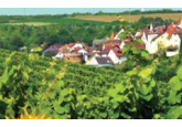 Rural settlements in Moldova can receive funding for the implementation of a Smart Village and the creation of photovoltaic parks