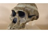 Fossils: Cave woman one million years older than thought