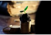 Fermierii afectați de seceta din 2022 pot solicita un ajutor umanitar extern sub formă de motorină.