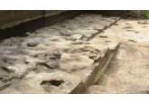 300,000-year-old human footprints discovered in Germany