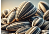 Four companies have received licenses to import sunflower seeds.