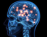 Что делает мозг во время сна, рассказал биолог