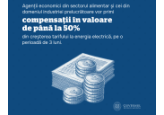 Moldovan government will allocate 60 million lei to compensate economic agents for the difference in electricity prices after the increase in electricity tariffs