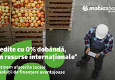 Susținem afacerile locale cu finanțare din resursele CEB