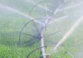 IFAD increases the size of the grant for the development of irrigation infrastructure from $300 thousand to $500 thousand.