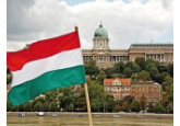 Ungaria este cel mai mare producător de hrean din UE. A avut o recoltă de 11.500 de tone anul trecut