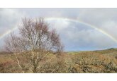 England to get new national park as part of nature plan