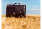 Many micro and small agricultural producers in Moldova will be able to receive subsidies.