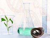 Starting September 1, Moldova will increase monthly salary supplements for holders of scientific and scientific-pedagogical titles