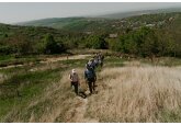 O rețea de trasee marcate pentru drumeții invită turiștii să descopere la pas priveliști naturale, obiective culturale și istorice din zona Codrilor Moldovei