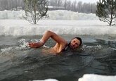 Выяснено влияние холода на метаболизм «моржей»