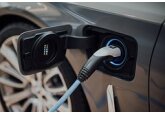 Перечислены причины низкой аварийности электромобилей